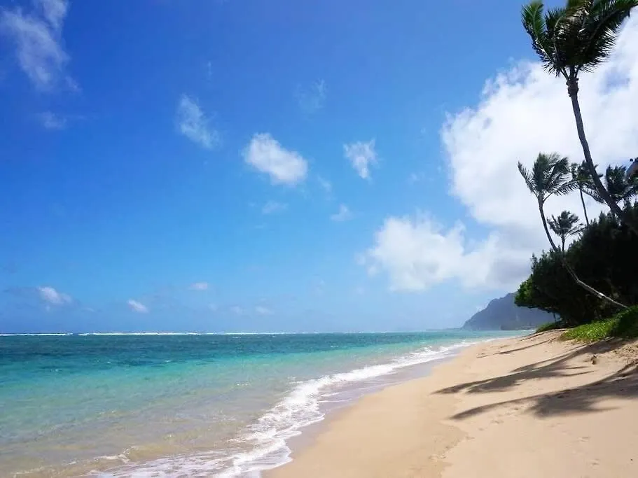 Luxury Beachfront Condo Hau'ula 0*,  United States
